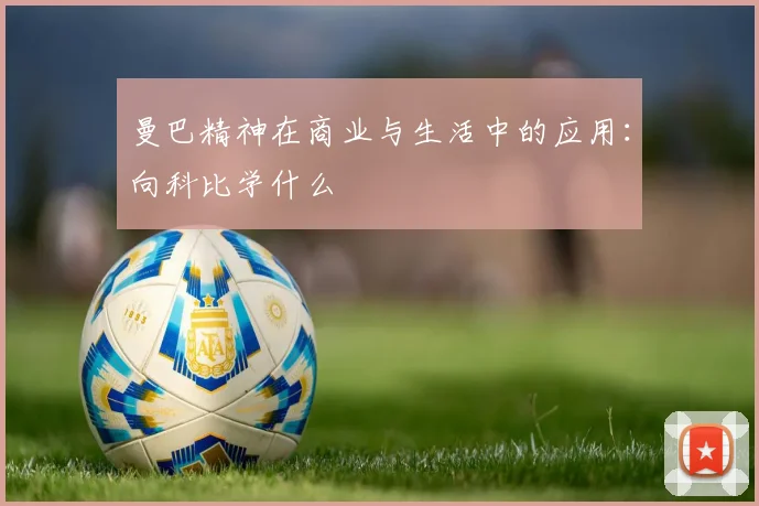 曼巴精神在商业与生活中的应用:向科比学什么