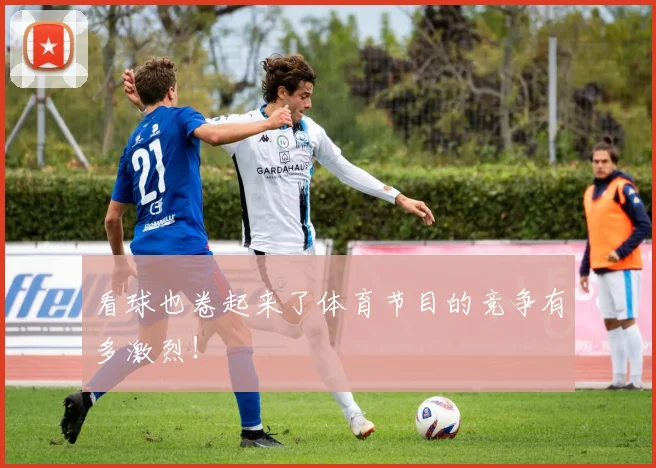看球也卷起来了体育节目的竞争有多激烈!
